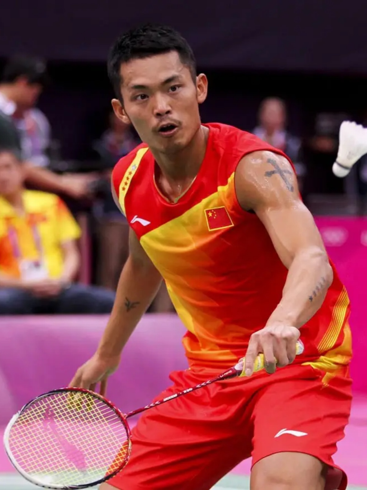 但他丰富的 但他丰富的